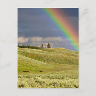 Rainbow Skies Office Personalise Destiny Destiny'S Postcard