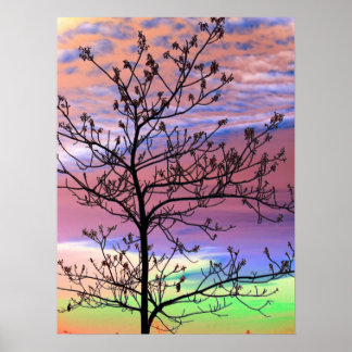 Rainbow Sky Barren Tree Poster