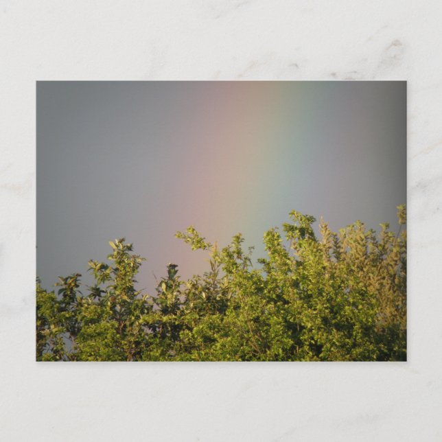 Rainbow Sky Postcard (Front)