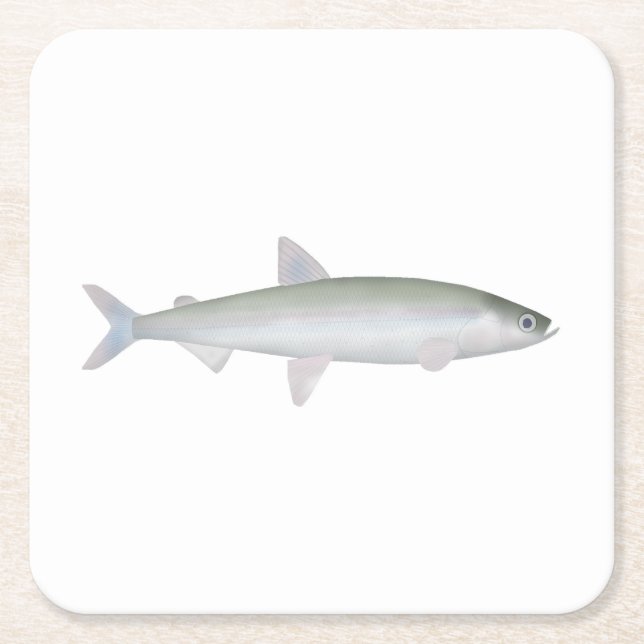 Rainbow Smelt Square Paper Coaster (Front)