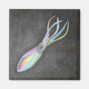 Rainbow Squid Magnet