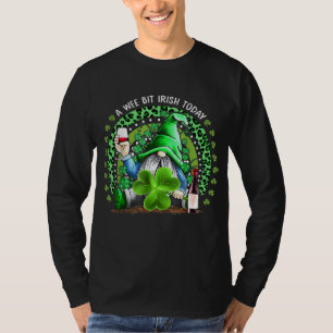 Rainbow St Patrick's Day Irish Gnome Drink Wine Sh T-Shirt