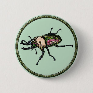 Rainbow Stag Beetle 6 Cm Round Badge