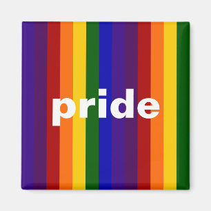 Rainbow Stripes Magnet