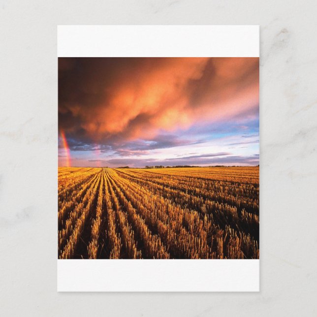 Rainbow Stubble Field Saskatchewan Canada Postcard (Front)