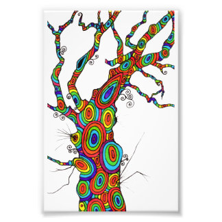 Rainbow Tree - colourful photographic print