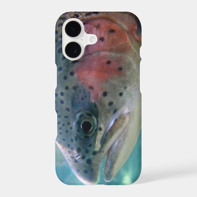 Rainbow Trout (Back)