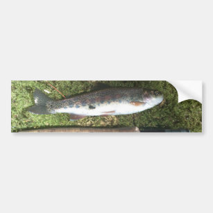 Fly Fishing Decals Women Fly Fishing Vinyl Sticker Magnets Suv