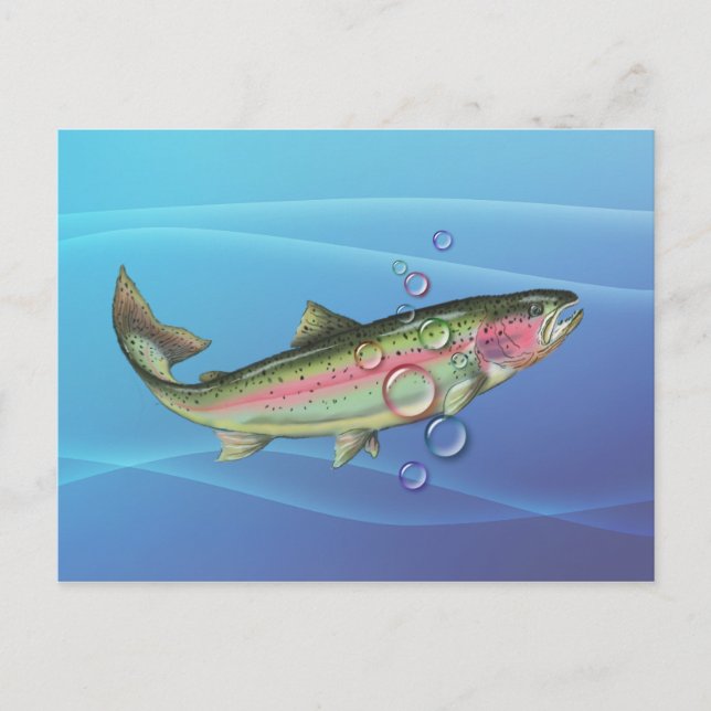 RAINBOW TROUT BUBBLES by SHARON SHARPE Postcard (Front)