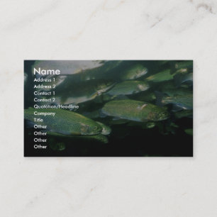 Rainbow Trout Business Card