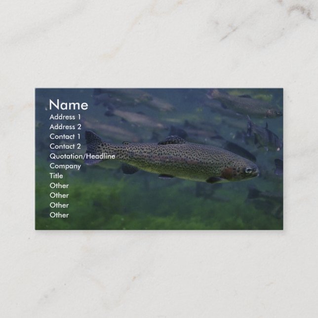 Rainbow Trout Business Card (Front)