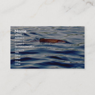 Rainbow Trout Business Card