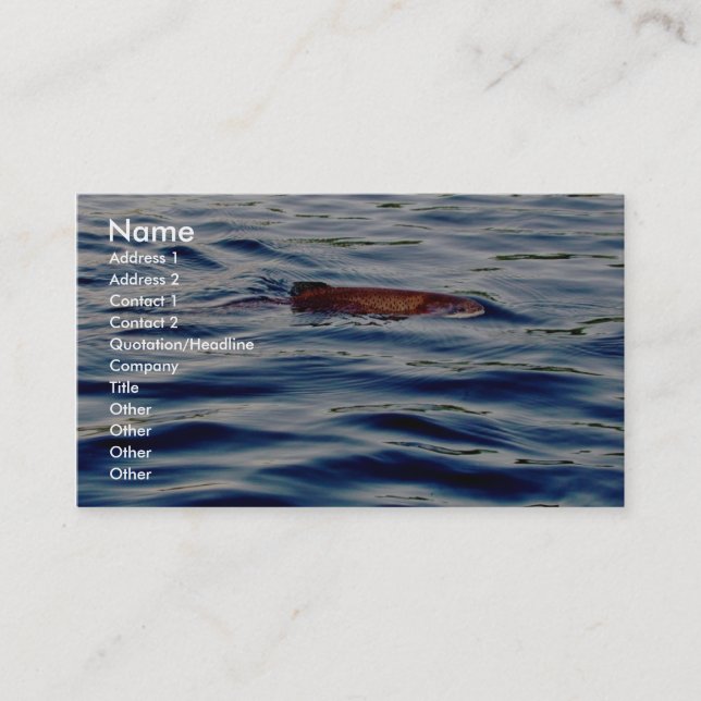 Rainbow Trout Business Card (Front)