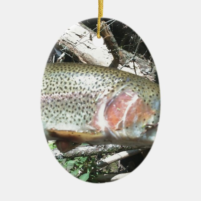 Rainbow trout ceramic tree decoration (Front)
