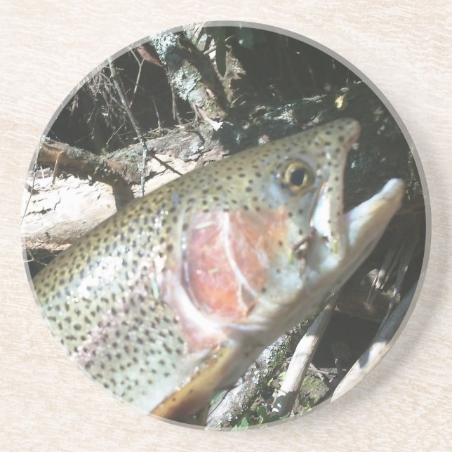 Rainbow trout coaster (Front)