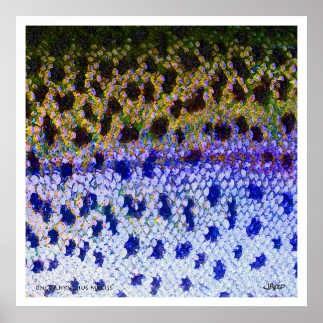 Rainbow Trout FFF Poster (Front)