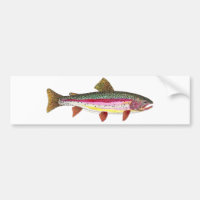 Rainbow Trout Fish