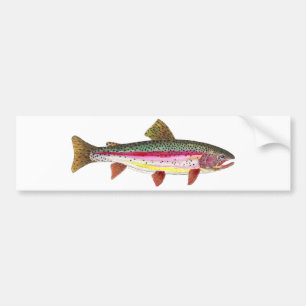 Rainbow Trout Fish Bumper Sticker