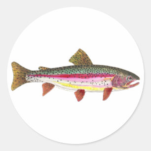 Rainbow Trout Fish Classic Round Sticker