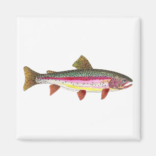 Rainbow Trout Fish Magnet