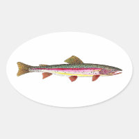 Rainbow Trout Fish