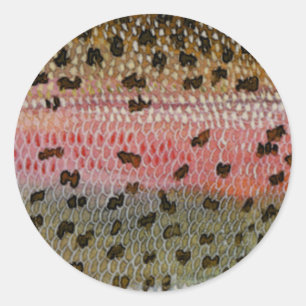 Rainbow Trout Fish Skin Print Classic Round Sticker