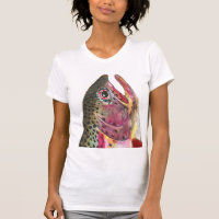 Rainbow Trout Fish