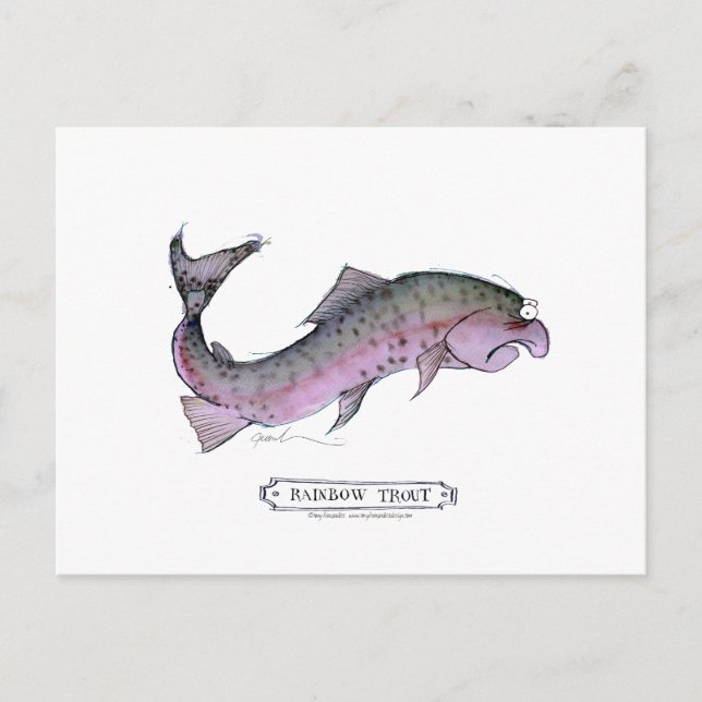 Rainbow Trout fish, tony fernandes Postcard (Front)