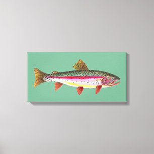 Rainbow Trout Fishing Canvas Print