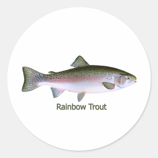 Rainbow Trout Fishing  Logo Classic Round Sticker (Front)
