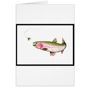 Rainbow Trout Fly Fishing
