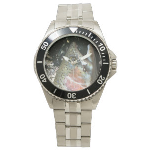 Rainbow trout,  fly fishing watch