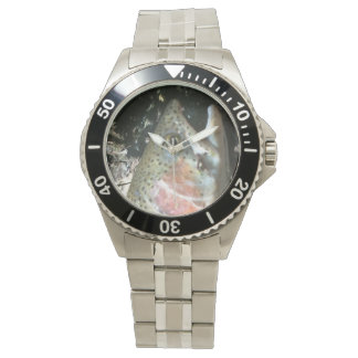 Rainbow trout,  fly fishing watch