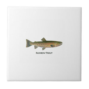 Rainbow Trout (freshwater) Tile