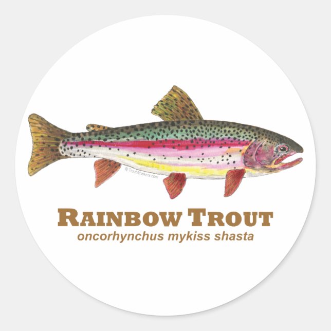 Rainbow Trout Latin Classic Round Sticker (Front)