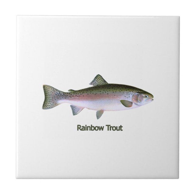 Rainbow Trout Logo Tile (Front)