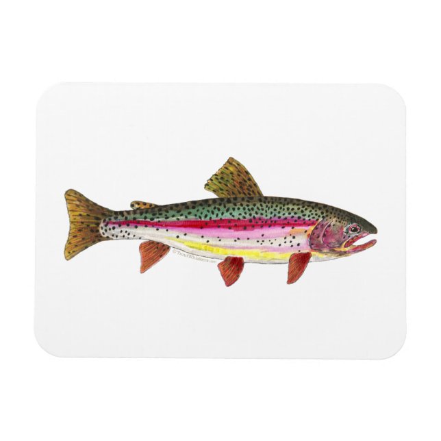 Rainbow Trout Magnet (Horizontal)
