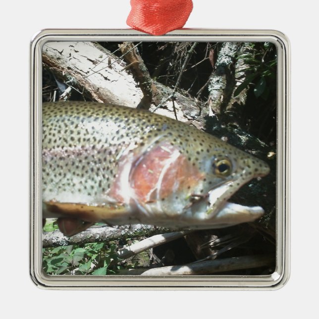 Rainbow trout metal tree decoration (Front)