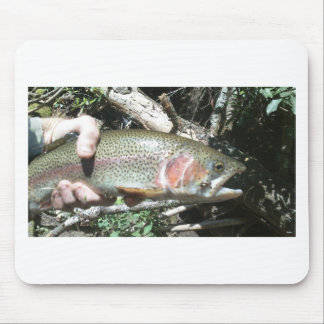 Rainbow trout mouse mat
