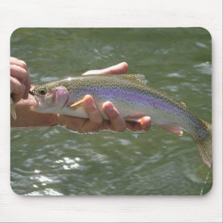 Rainbow trout mouse mat
