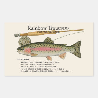 Rainbow Trout (Oncorhynchus mykiss) – Fish Illust Rectangular Sticker