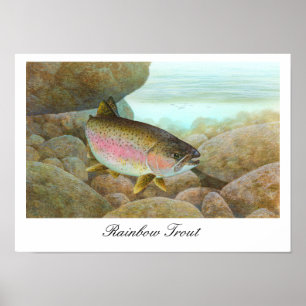 Rainbow Trout Painting Poster