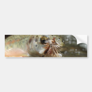 Rainbow Trout photo Bumper Sticker