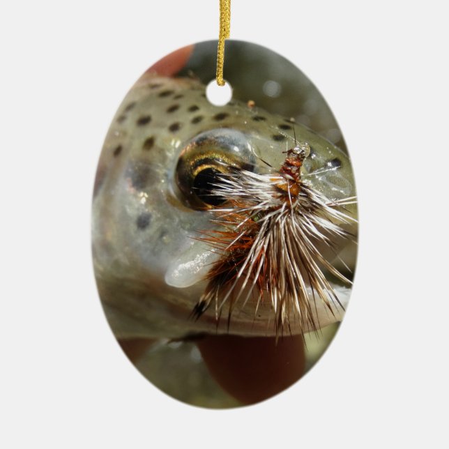 Rainbow Trout photo Ceramic Tree Decoration (Front)