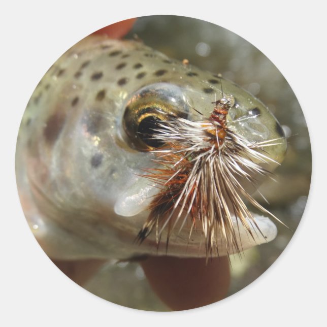 Rainbow Trout photo Classic Round Sticker (Front)