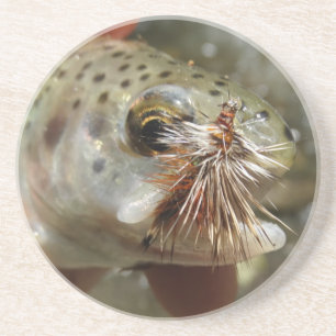 Rainbow Trout photo Coaster