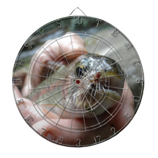Rainbow Trout photo Dartboard