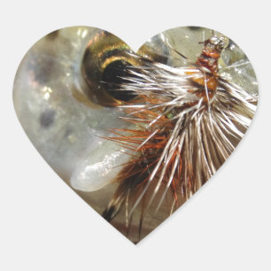 Rainbow Trout photo Heart Sticker