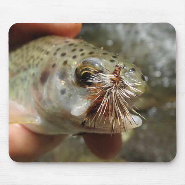 Rainbow Trout photo Mouse Mat (Front)