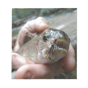 Rainbow Trout photo Notepad